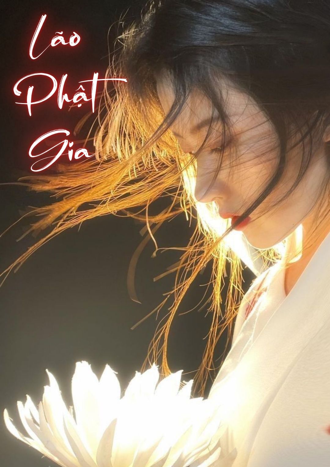 lao-phat-gia-3-1-19