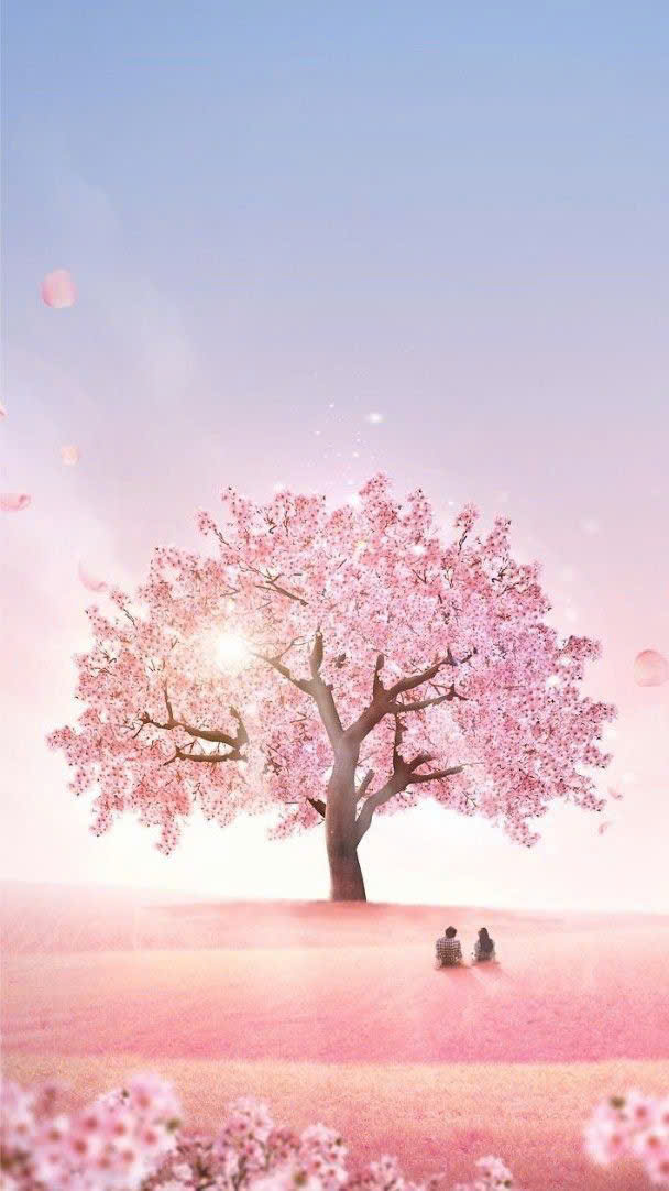 z6983414233195_b24e1b88cefe4a944c6d771446f6059b-1